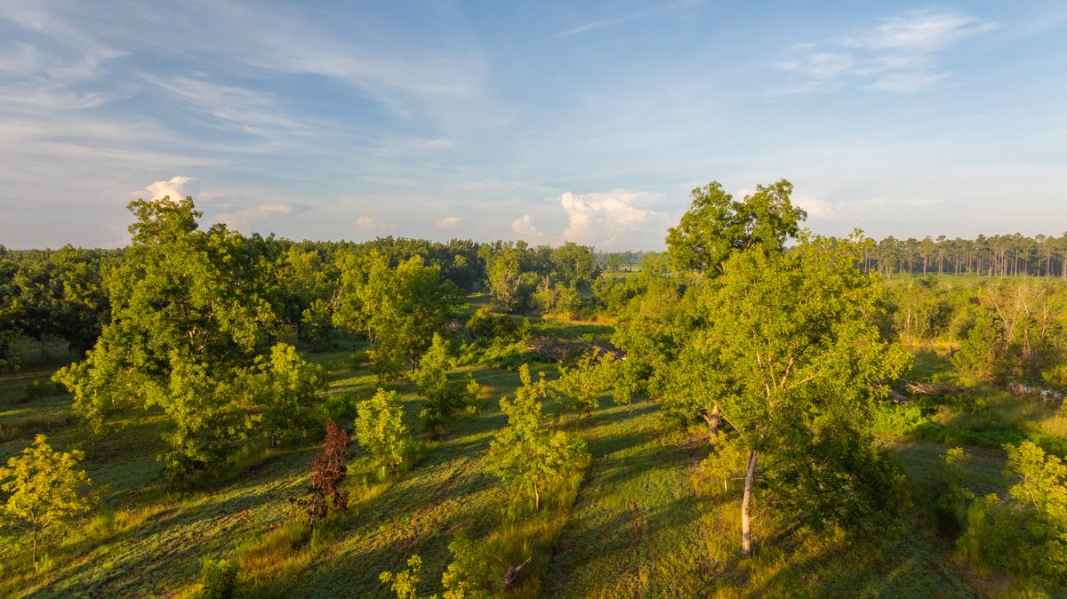 Image for 163± Acres - Chason Orchard - Ideal for Residential Homesites, Estate Lots & Expansion Opportunities - Irrigated Orchard with Home, Ample Frontage & Wooded Tracts