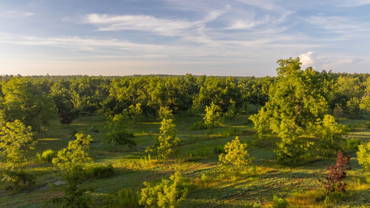 Image for 163± Acres - Chason Orchard - Ideal for Residential Homesites, Estate Lots & Expansion Opportunities - Irrigated Orchard with Home, Ample Frontage & Wooded Tracts