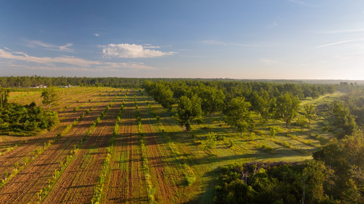 Image for 163± Acres - Chason Orchard - Ideal for Residential Homesites, Estate Lots & Expansion Opportunities - Irrigated Orchard with Home, Ample Frontage & Wooded Tracts