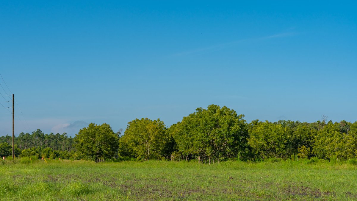 Image for 187± Acres - Carter Orchard - Residential Lots with Road Frontage on Lakeland Highway - Young Irrigated Orchard w/ Oak Hardwood Areas