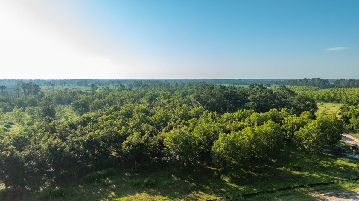 Image for 187± Acres - Carter Orchard - Residential Lots with Road Frontage on Lakeland Highway - Young Irrigated Orchard w/ Oak Hardwood Areas