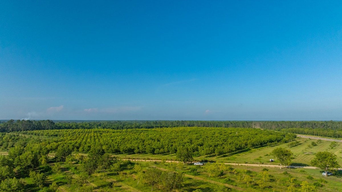 Image for 187± Acres - Carter Orchard - Residential Lots with Road Frontage on Lakeland Highway - Young Irrigated Orchard w/ Oak Hardwood Areas