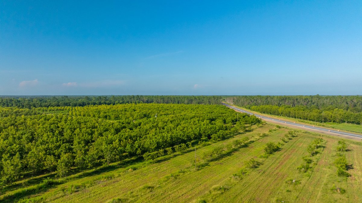 Image for 187± Acres - Carter Orchard - Residential Lots with Road Frontage on Lakeland Highway - Young Irrigated Orchard w/ Oak Hardwood Areas