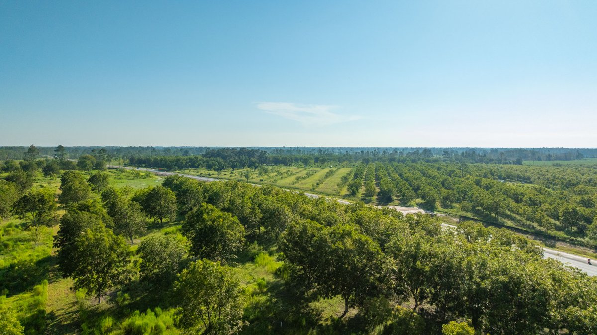 Image for 187± Acres - Carter Orchard - Residential Lots with Road Frontage on Lakeland Highway - Young Irrigated Orchard w/ Oak Hardwood Areas