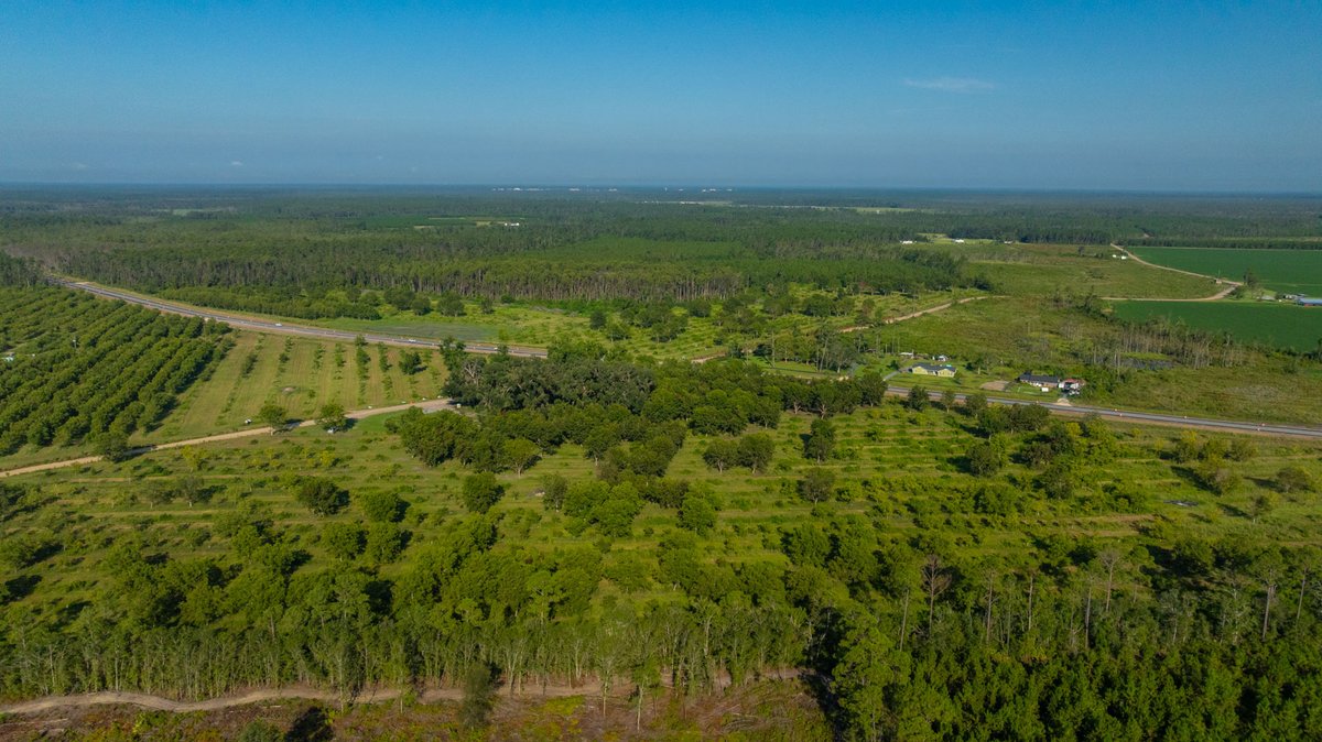 Image for 187± Acres - Carter Orchard - Residential Lots with Road Frontage on Lakeland Highway - Young Irrigated Orchard w/ Oak Hardwood Areas