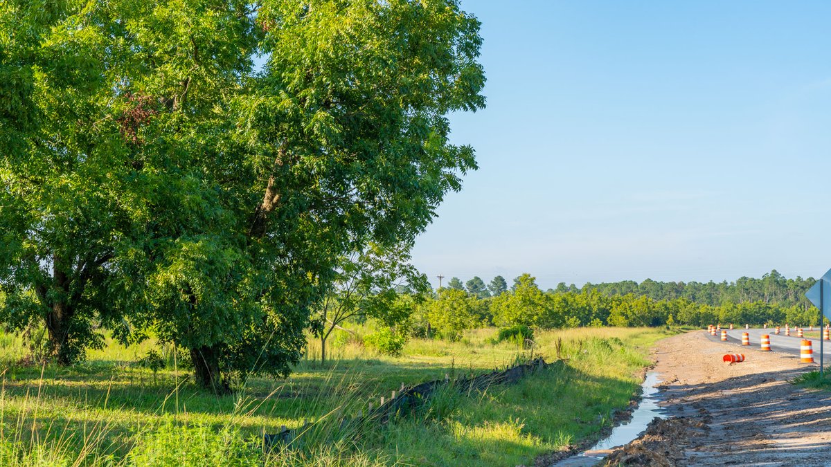 Image for 187± Acres - Carter Orchard - Residential Lots with Road Frontage on Lakeland Highway - Young Irrigated Orchard w/ Oak Hardwood Areas