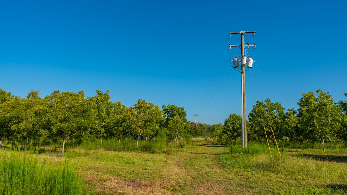 Image for 187± Acres - Carter Orchard - Residential Lots with Road Frontage on Lakeland Highway - Young Irrigated Orchard w/ Oak Hardwood Areas
