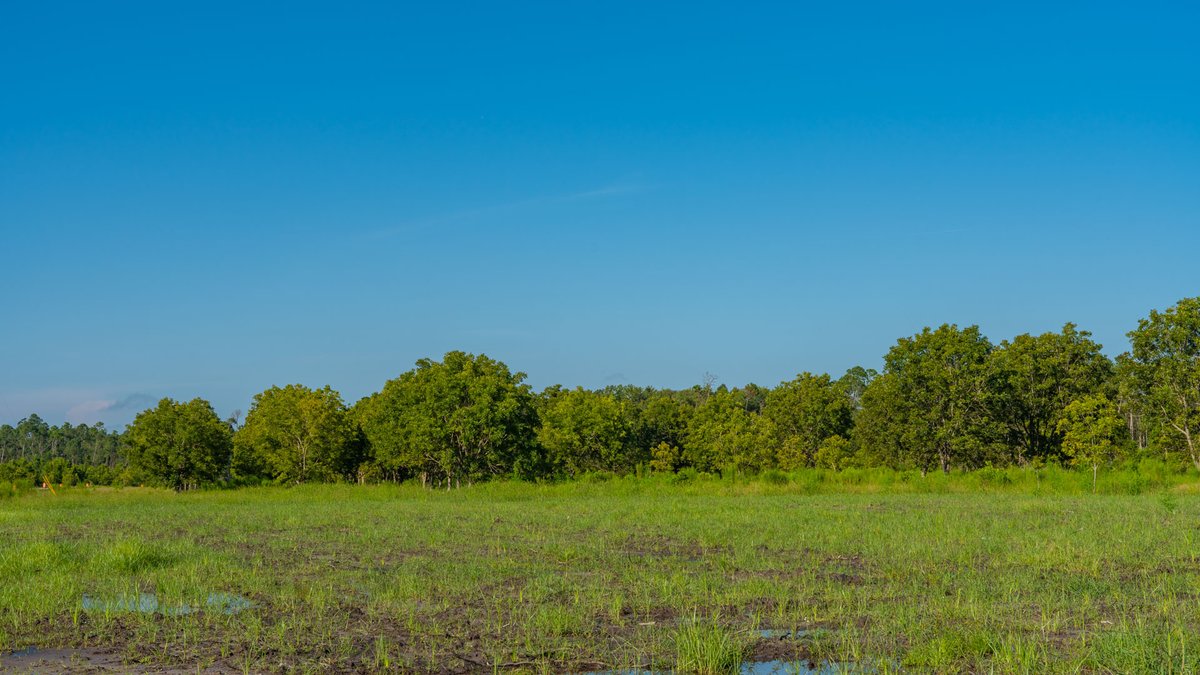 Image for 187± Acres - Carter Orchard - Residential Lots with Road Frontage on Lakeland Highway - Young Irrigated Orchard w/ Oak Hardwood Areas
