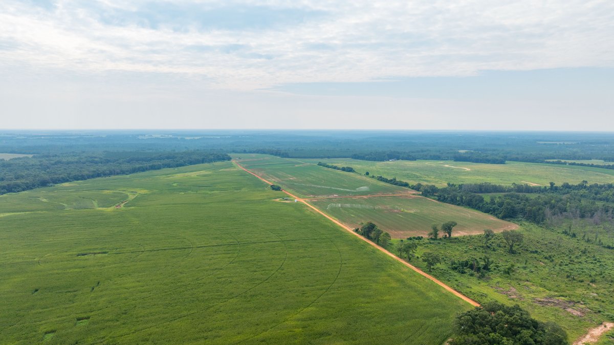 Image for Perryman Place - 305+/- Total Acres - Premium Row Crop Farm - Deep Well & 7 Irrigation Pivots