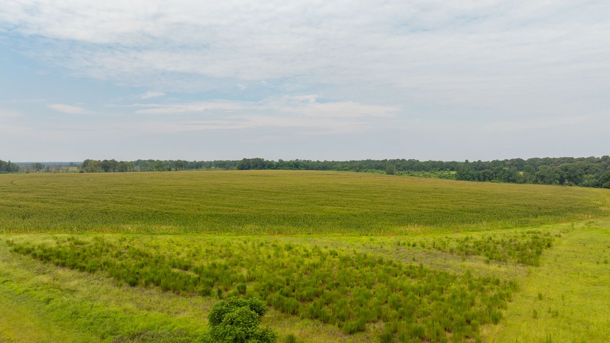 Image for Perryman Place - 305+/- Total Acres - Premium Row Crop Farm - Deep Well & 7 Irrigation Pivots