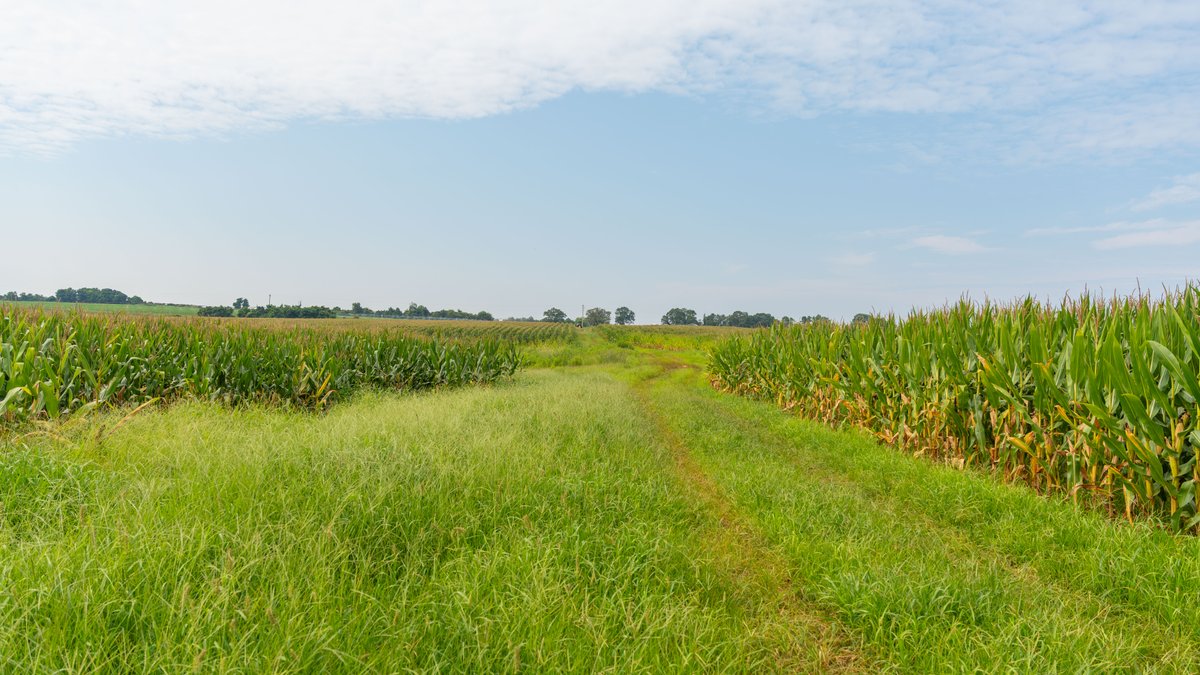 Image for Perryman Place - 305+/- Total Acres - Premium Row Crop Farm - Deep Well & 7 Irrigation Pivots