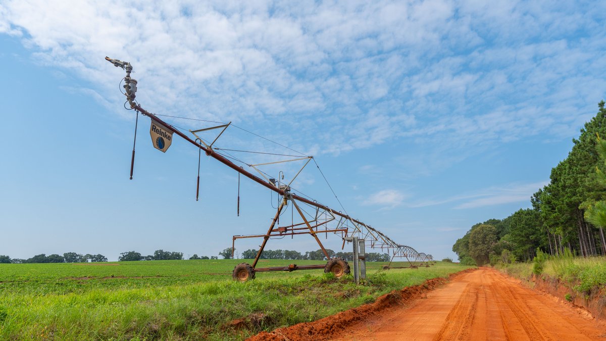 Image for Perryman Place - 305+/- Total Acres - Premium Row Crop Farm - Deep Well & 7 Irrigation Pivots
