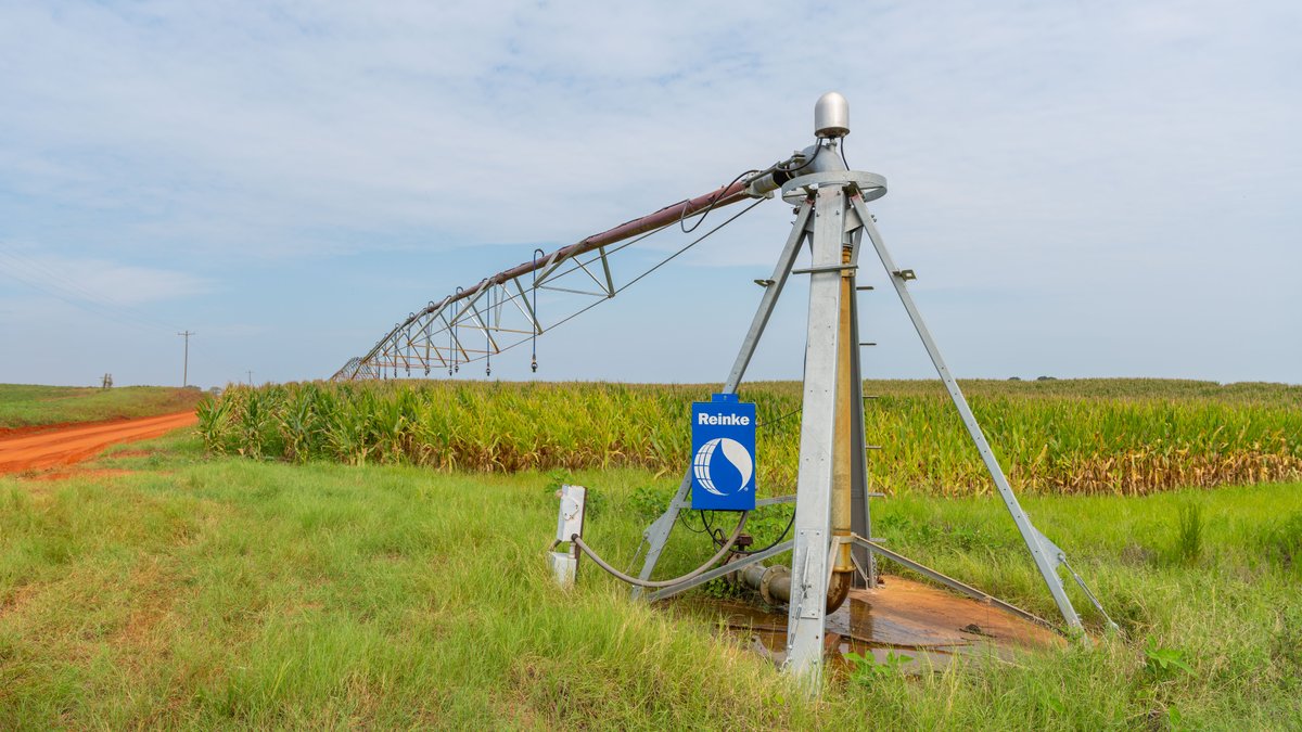 Image for Perryman Place - 305+/- Total Acres - Premium Row Crop Farm - Deep Well & 7 Irrigation Pivots