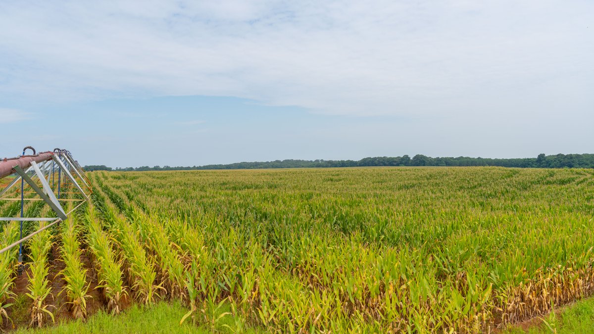 Image for Perryman Place - 305+/- Total Acres - Premium Row Crop Farm - Deep Well & 7 Irrigation Pivots