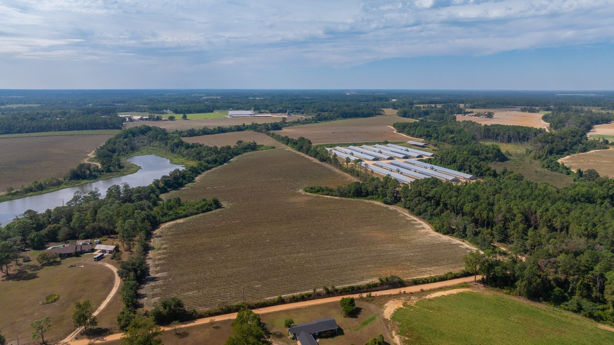 Image for The Earnest Lee Hunnicutt Estate - 64.86± Acres of Farmland & Recreation