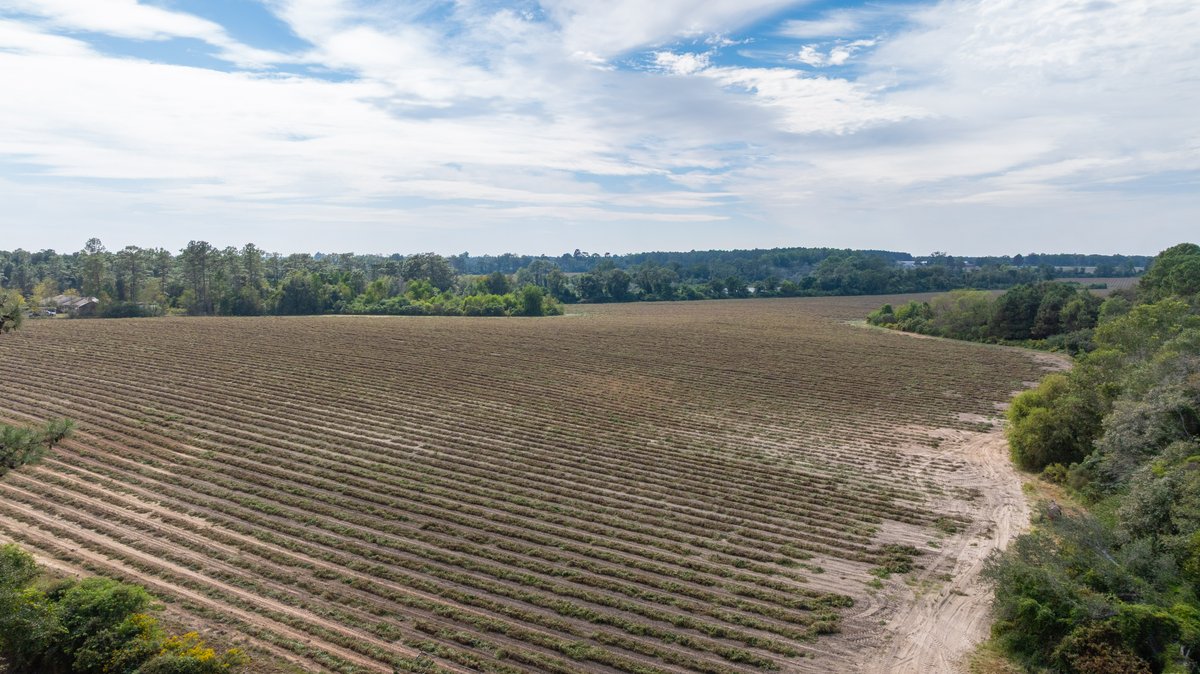 Image for The Earnest Lee Hunnicutt Estate - 64.86± Acres of Farmland & Recreation
