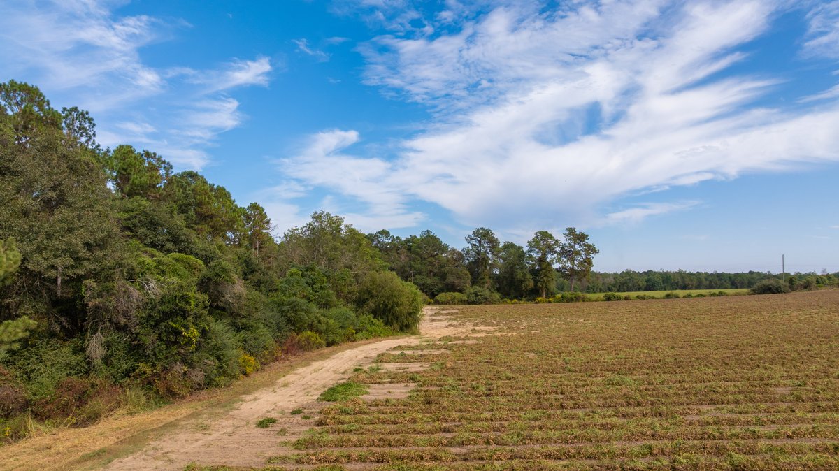 Image for The Earnest Lee Hunnicutt Estate - 64.86± Acres of Farmland & Recreation