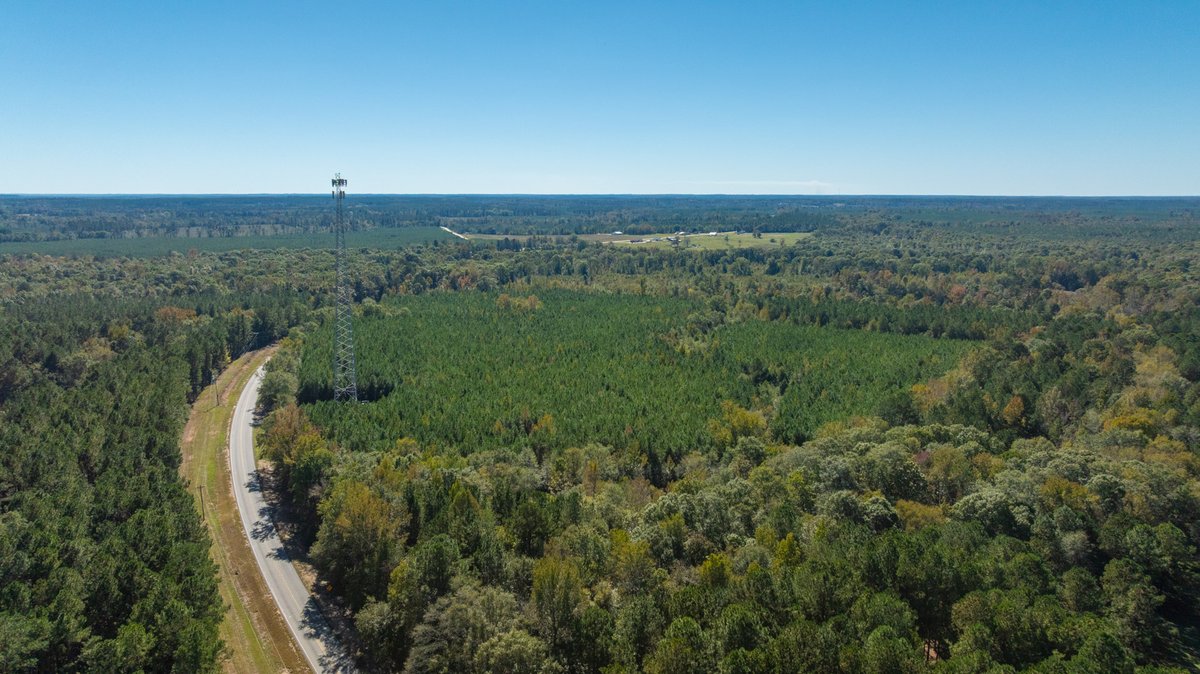 Image for 170+/- Acres - The Ohoopee River Retreat - Prime Recreational Land w/ Hunting Cabin Offered Divided & as a Whole