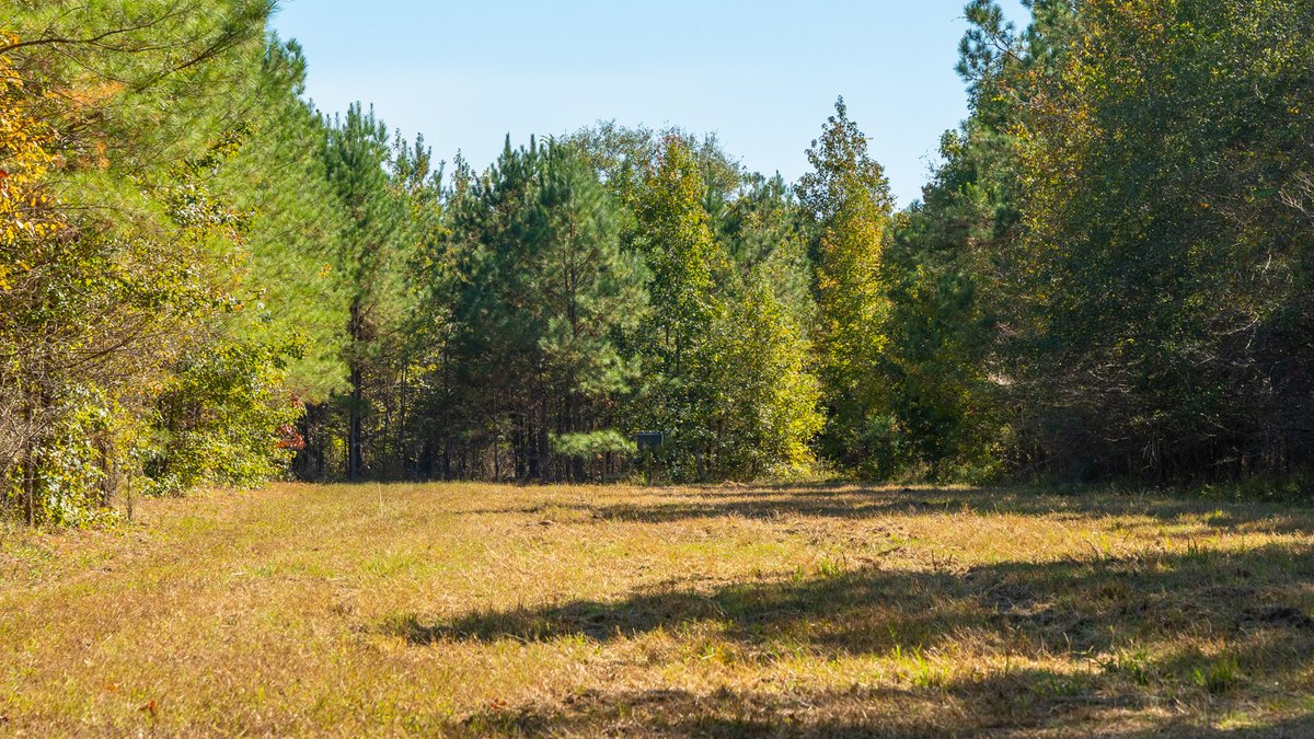 Image for 170+/- Acres - The Ohoopee River Retreat - Prime Recreational Land w/ Hunting Cabin Offered Divided & as a Whole