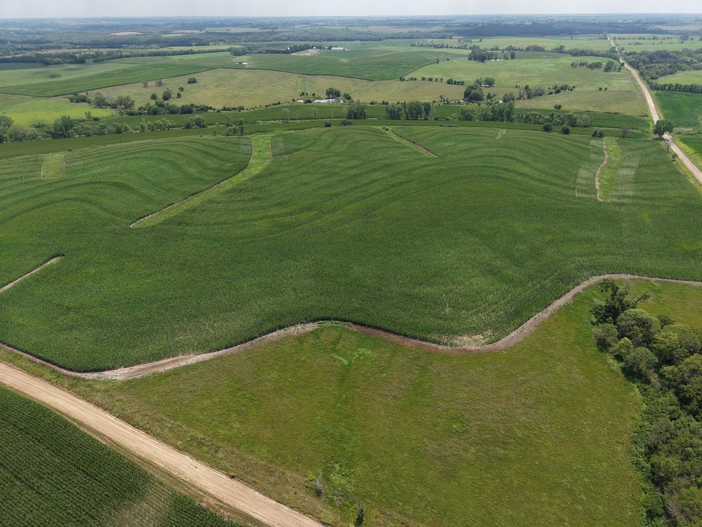 TRACT #3 - 160 +/- ACRES