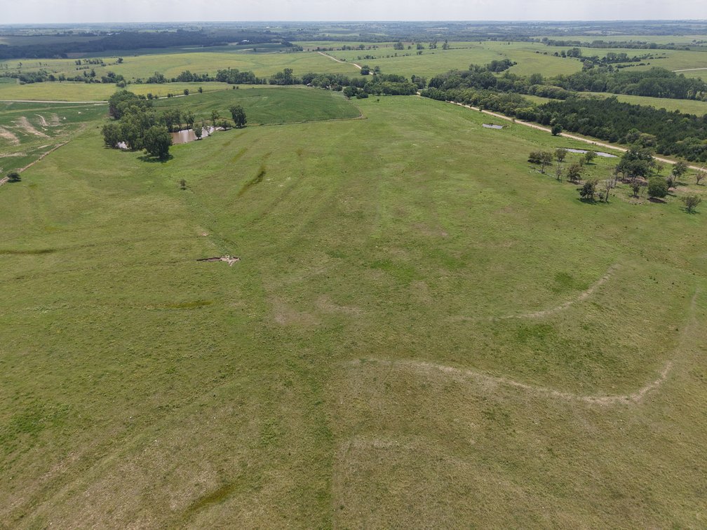 TRACT #4 - 80 +/- ACRES