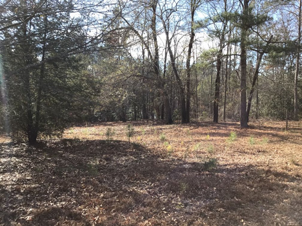 Image for A Brick Ranch Home on nearly 5 acres in Richmond County close to Rockingham, NC.