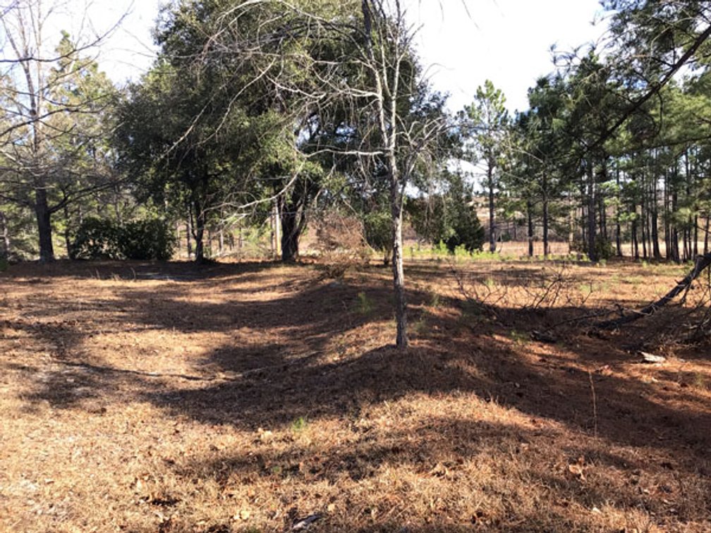 Image for A Brick Ranch Home on nearly 5 acres in Richmond County close to Rockingham, NC.