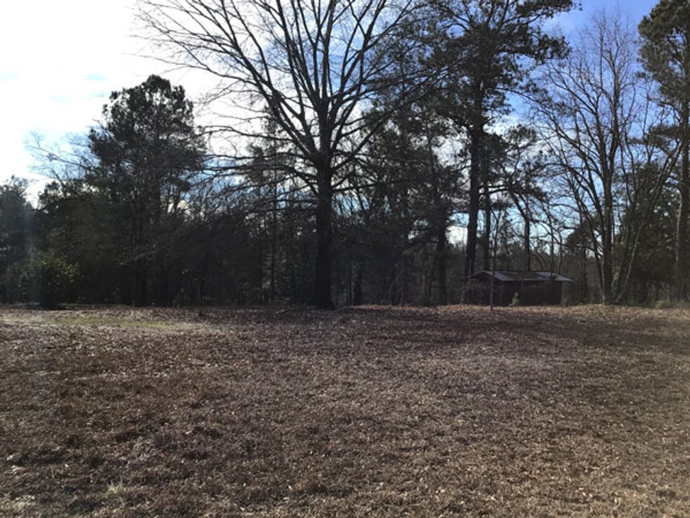 Image for A Brick Ranch Home on nearly 5 acres in Richmond County close to Rockingham, NC.
