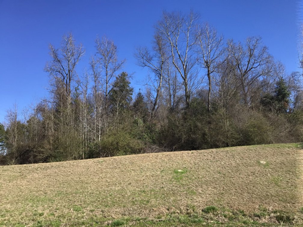 Image for NCDOT 2023 Residue Property Online Only Auction