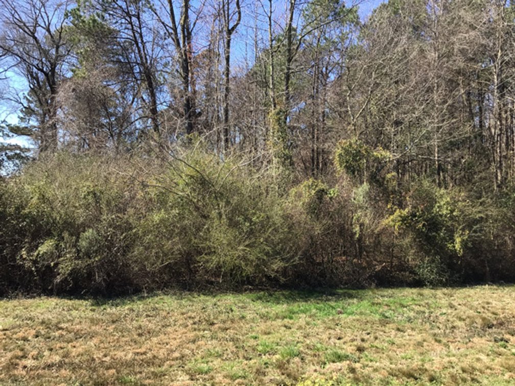 Image for NCDOT 2023 Residue Property Online Only Auction