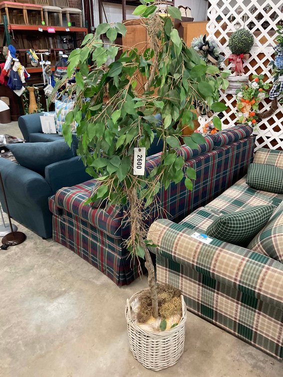 Image for New and Nearly New Thrift Shop Retirement Auction Events - LIVE AUCTION