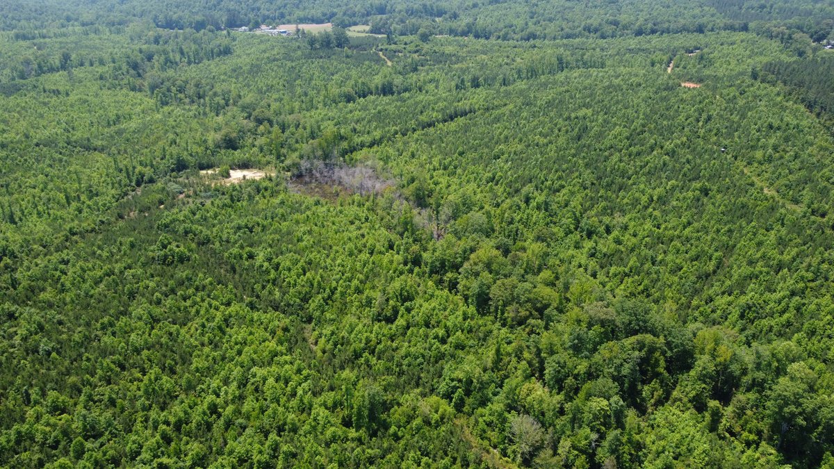 Image for 436 acres in Randolph County Divided into multiple tracts w/a portion selling absolute! This is an online / live / simulcast event!