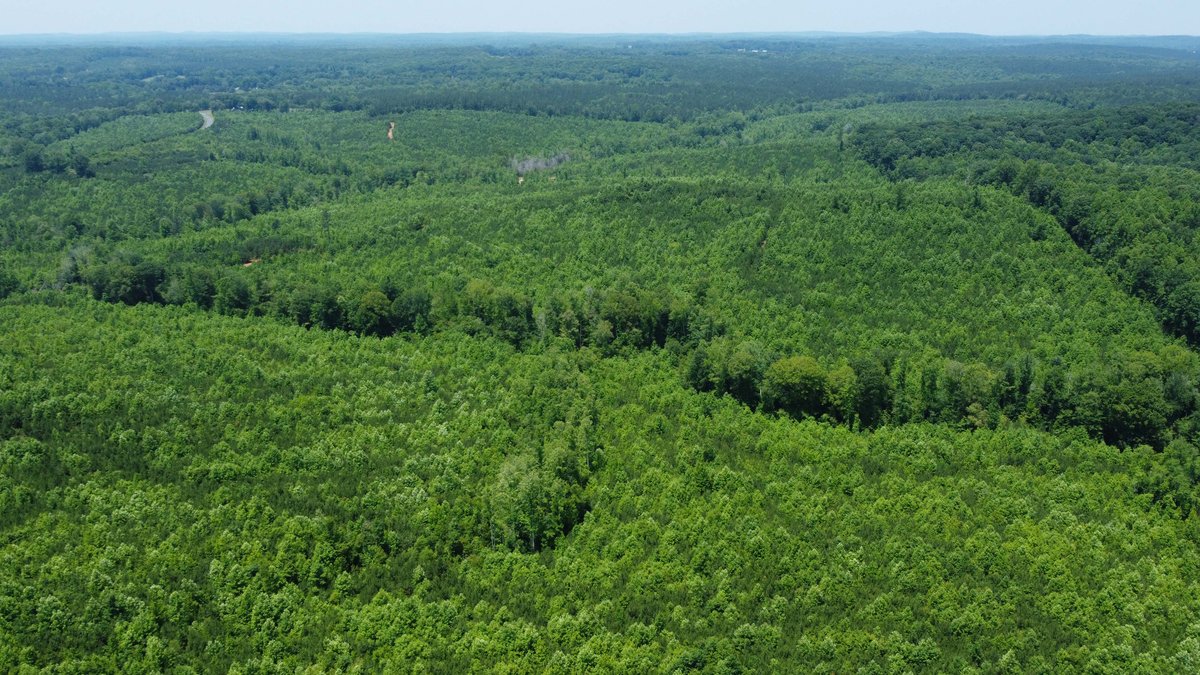 Image for 436 acres in Randolph County Divided into multiple tracts w/a portion selling absolute! This is an online / live / simulcast event!