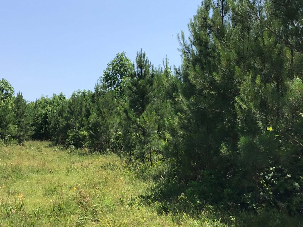 Image for 436 acres in Randolph County Divided into multiple tracts w/a portion selling absolute! This is an online / live / simulcast event!