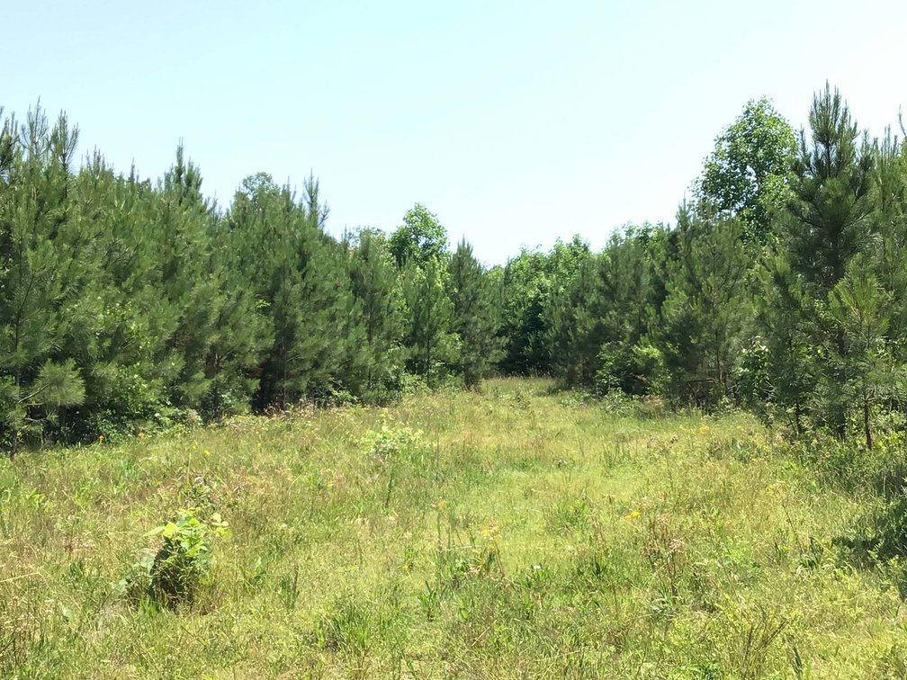 Image for 436 acres in Randolph County Divided into multiple tracts w/a portion selling absolute! This is an online / live / simulcast event!