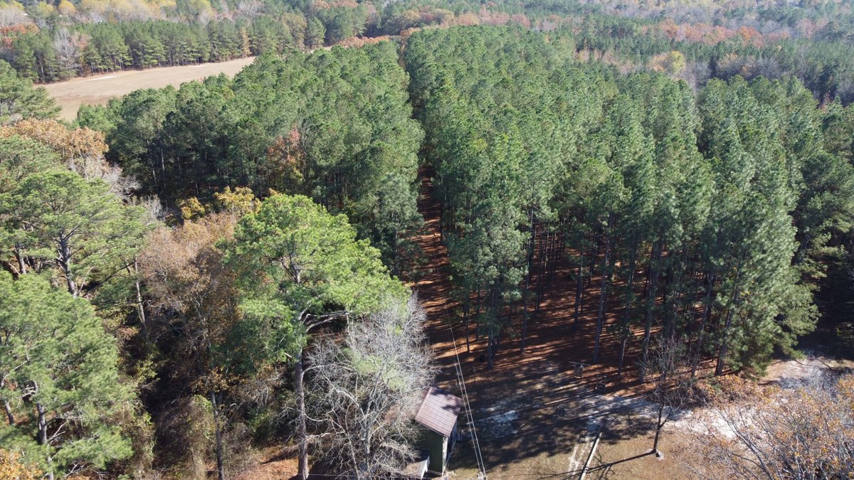 Image for 43 acres in Harnett County with a brick home in an onsite live /online / simulcast auction event!