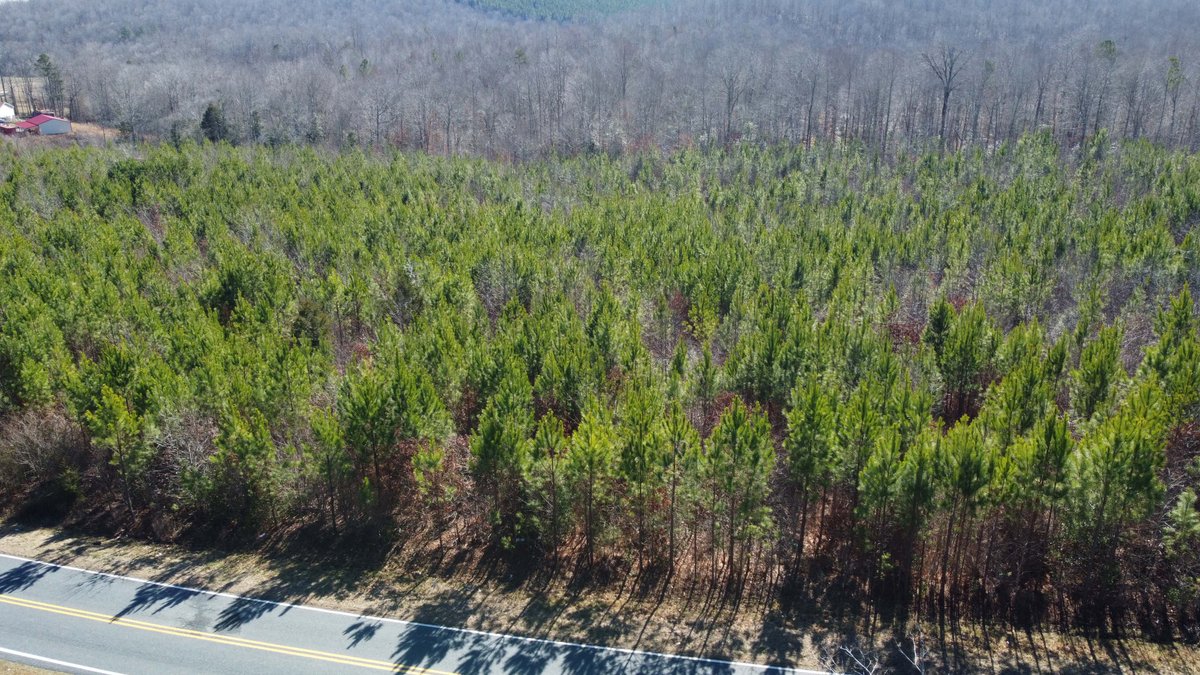 Image for 436 acres in Randolph County Divided into multiple tracts w/a portion selling absolute! This is an online / live / simulcast event!