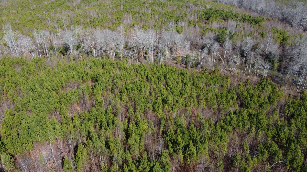 Image for 436 acres in Randolph County Divided into multiple tracts w/a portion selling absolute! This is an online / live / simulcast event!