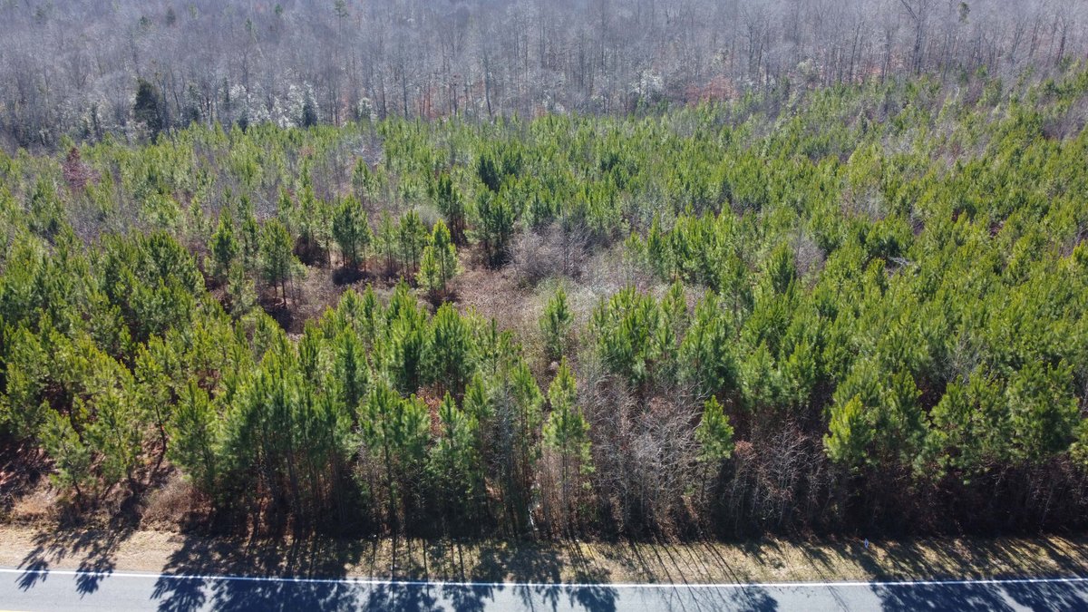 Image for 436 acres in Randolph County Divided into multiple tracts w/a portion selling absolute! This is an online / live / simulcast event!