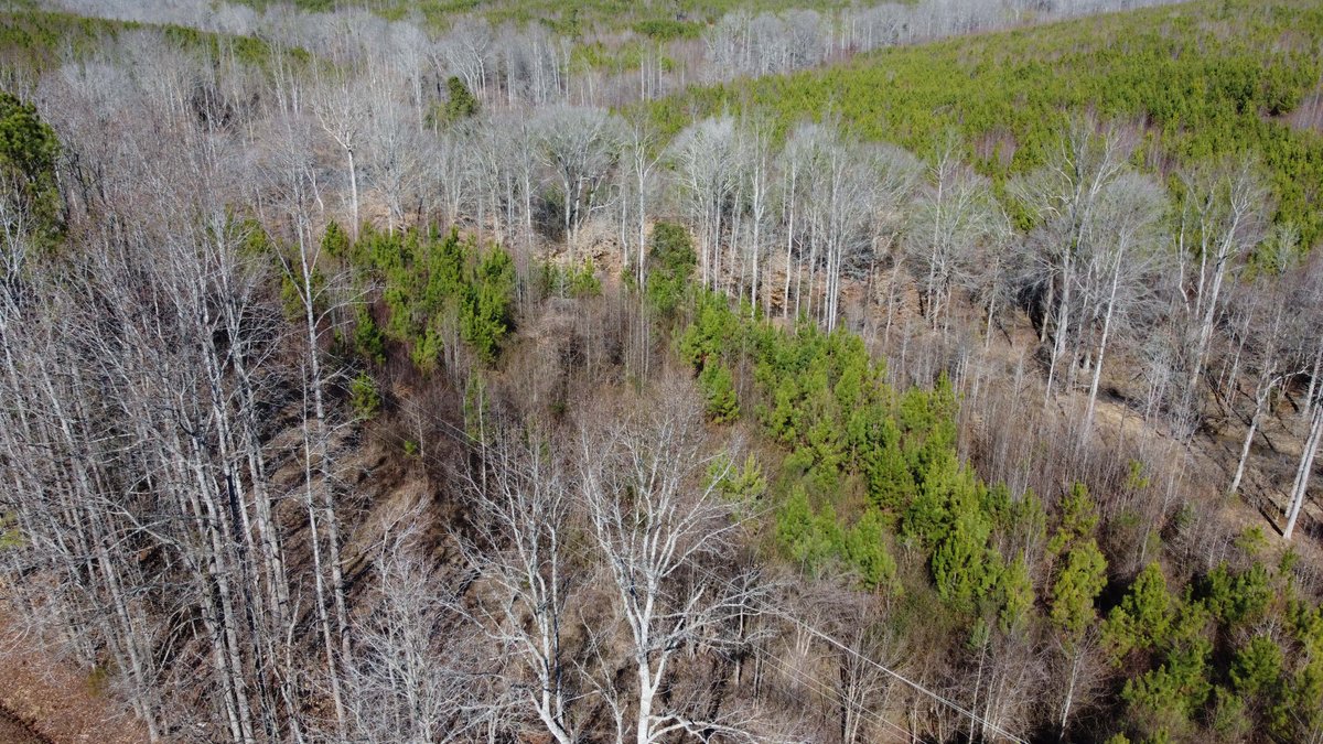 Image for 436 acres in Randolph County Divided into multiple tracts w/a portion selling absolute! This is an online / live / simulcast event!