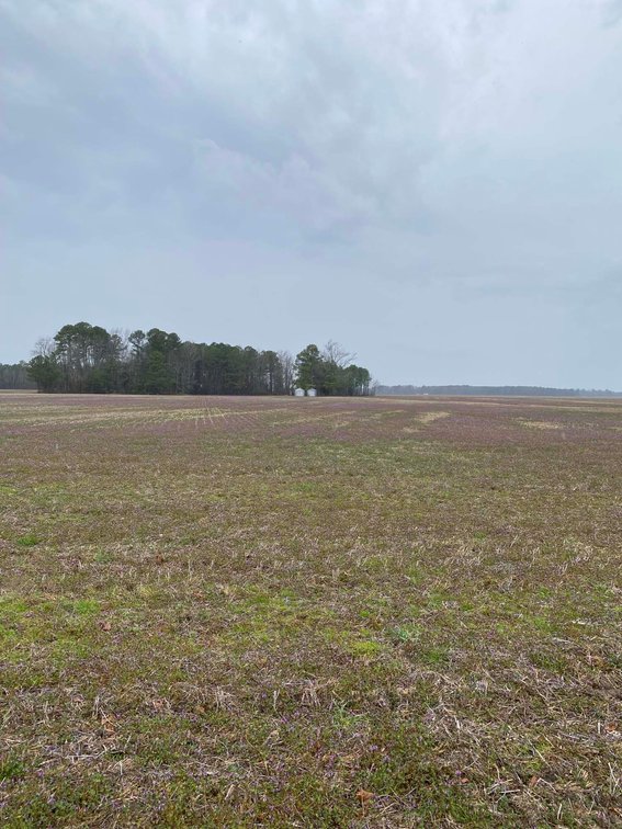 Image for The John J. Madura Estate (deceased) Cumberland County  Real Estate Auction!  65 + acres divided and a Home!