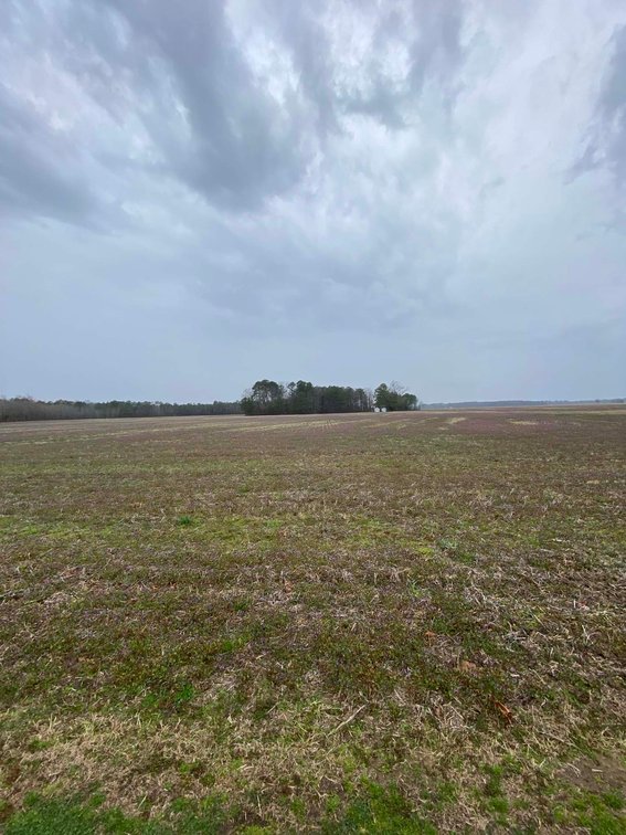 Image for The John J. Madura Estate (deceased) Cumberland County  Real Estate Auction!  65 + acres divided and a Home!