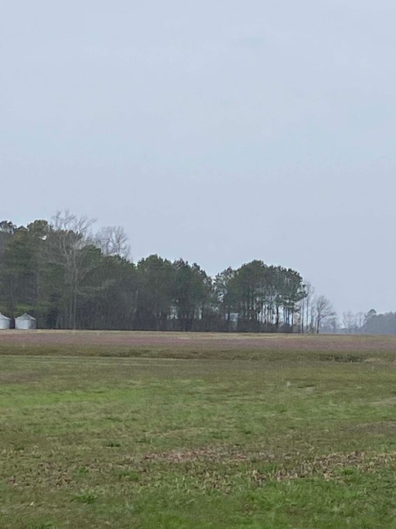 Image for The John J. Madura Estate (deceased) Cumberland County  Real Estate Auction!  65 + acres divided and a Home!