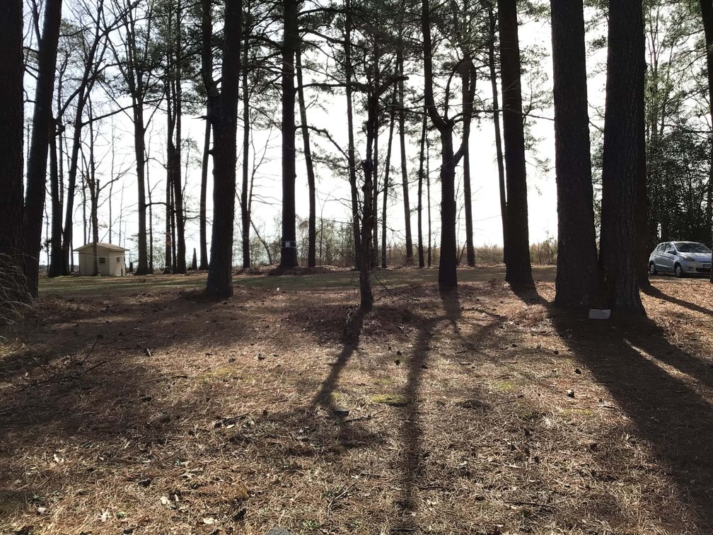 Image for Vacant Lot in Wilson