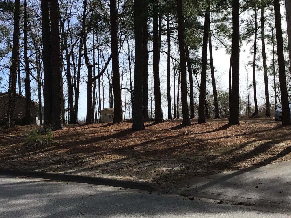 Image for Vacant Lot in Wilson