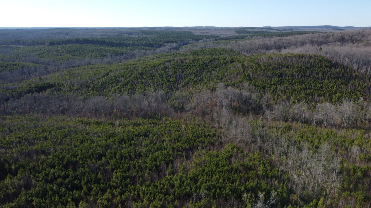 Image for 436 acres in Randolph County Divided into multiple tracts w/a portion selling absolute! This is an online / live / simulcast event!