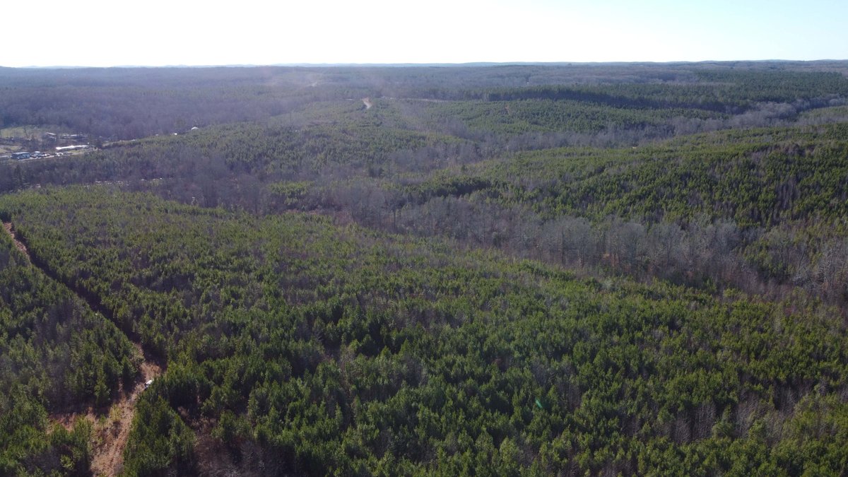 Image for 436 acres in Randolph County Divided into multiple tracts w/a portion selling absolute! This is an online / live / simulcast event!