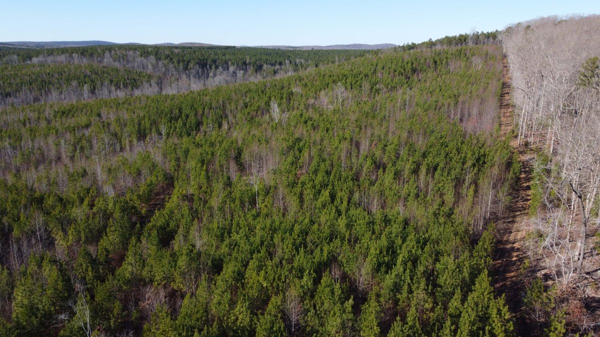 Image for 436 acres in Randolph County Divided into multiple tracts w/a portion selling absolute! This is an online / live / simulcast event!