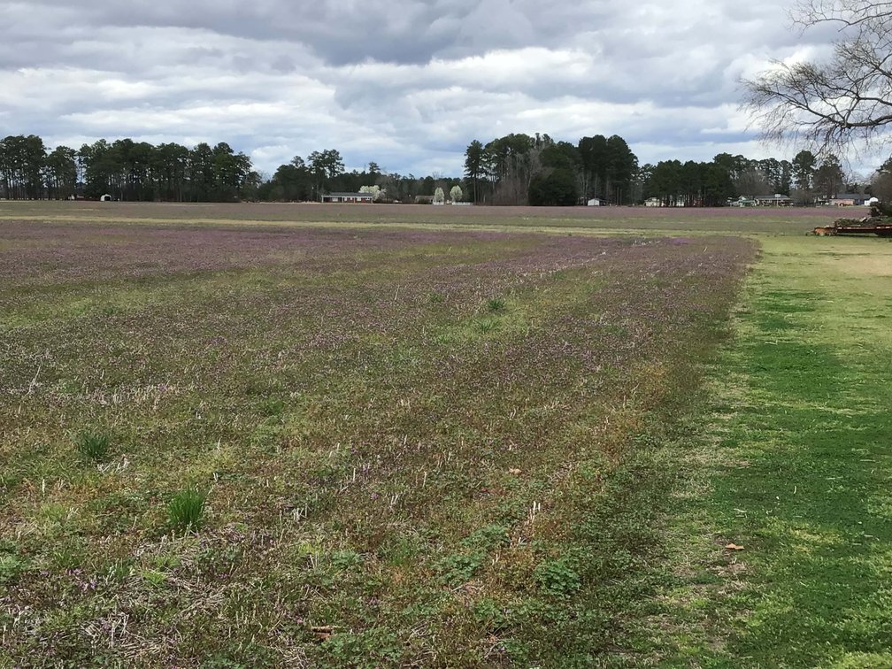 Image for The John J. Madura Estate (deceased) Cumberland County  Real Estate Auction!  65 + acres divided and a Home!