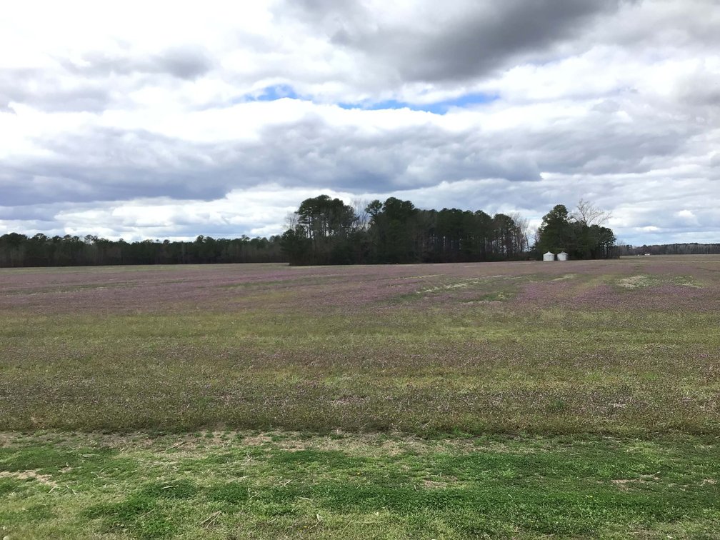 Image for The John J. Madura Estate (deceased) Cumberland County  Real Estate Auction!  65 + acres divided and a Home!